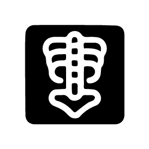 X-ray Icon
